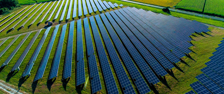 3 fazendas solares vão beneficiar mais de 13 mil famílias